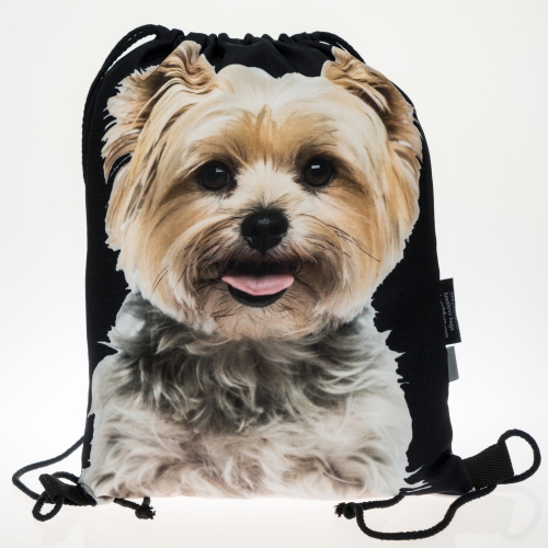 dbd2ae32879845d6dbbda4428a829a9f