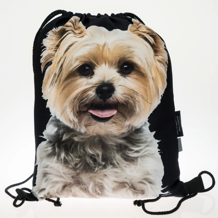 dbd2ae32879845d6dbbda4428a829a9f