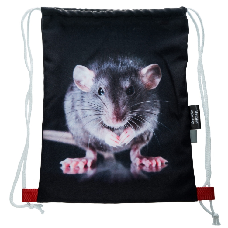 dad5efd6190828d68df8171ab22fb3e9