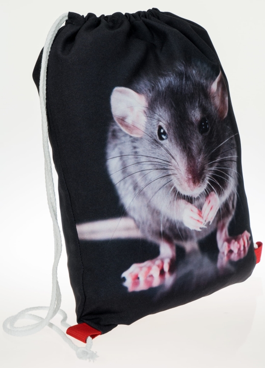 2f603761e7a67698dcb5f2ae537e79bc