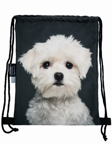 f1b29b9a9398cf3b68dc423ef79b5b39