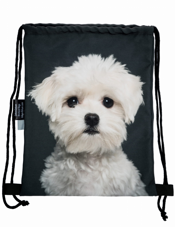 f1b29b9a9398cf3b68dc423ef79b5b39