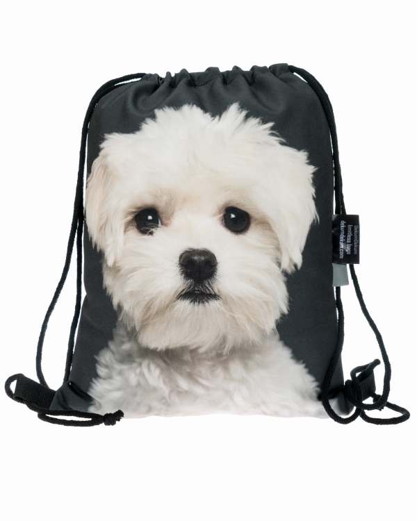 cc24fcd5ed757504b42543576bd2b373