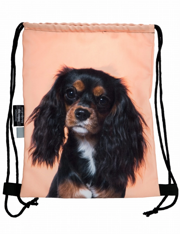 8df2278a7d6d098c0bd2b32178124bb0