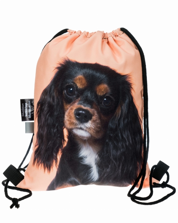 c057e07e028fba5c120de202424fe6dc