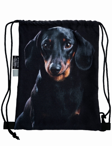 12f93b9d86a1bd6fc45e02f021181cf3