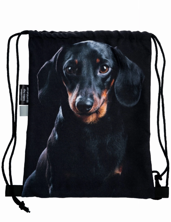 12f93b9d86a1bd6fc45e02f021181cf3