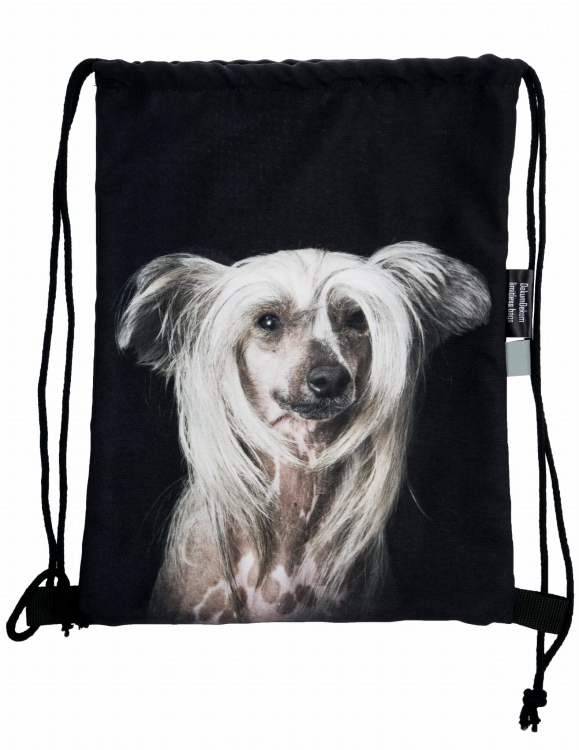 1cbccf241966a62ef44cbae13ebd3146