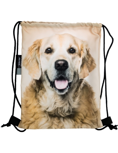 45cb3ff231ba10762a20930237d536fc