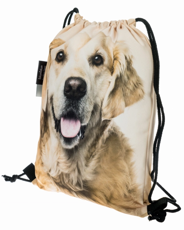 0b526940cac25dea862f6f625e2303b1