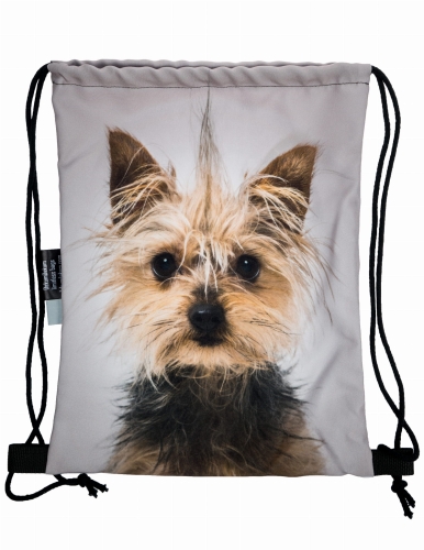 f8bd49f80bceec7180bf85fa90d33961