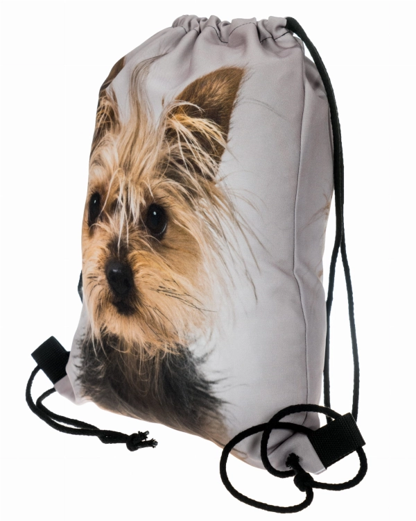 47541c7df9bcb7ec65683d8b92bc0354