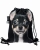b1be33559810cbd7b555cc9a886d228b