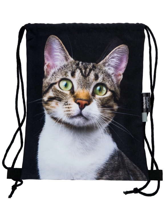 dc872f8e7498b9c77f60e9a2fe45f77c