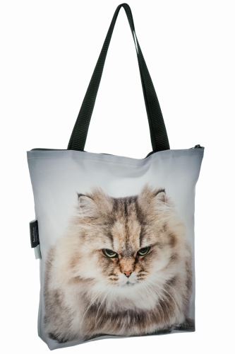 3ba4308488391d1d34042e85d203cf9d