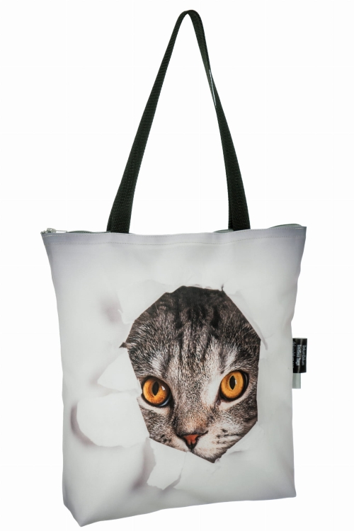 dc2695bc1d91ff47e1e911ea8c6dfd11