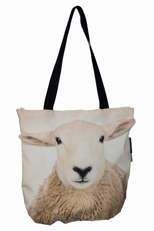 d7a9982e40e85b12ca00e76b18604f98