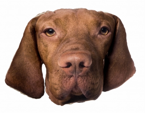 97d0da2eddb48eb7d2b6e564bdfcb82d