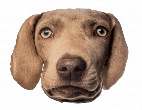 97dd625e8dd62acf0ba6e30c83e6a374