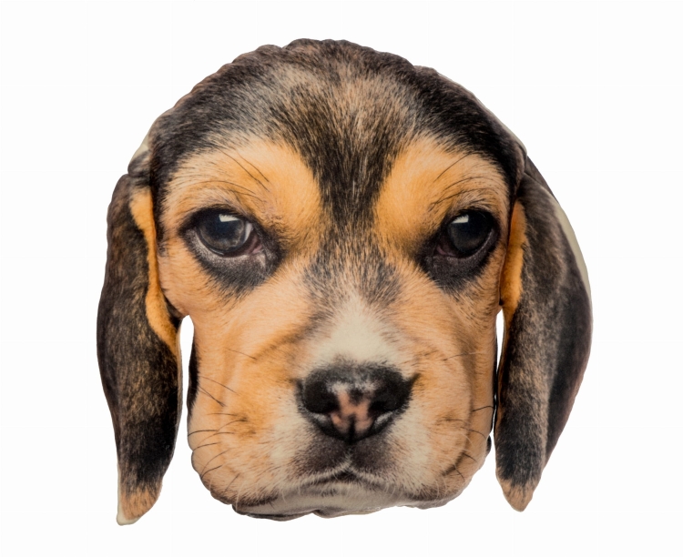 d32fb860d20cdfa6e65970cf2b4e1ba2