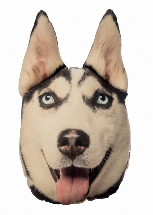 301cda2c5fd5dbed4ccd2a877a992984