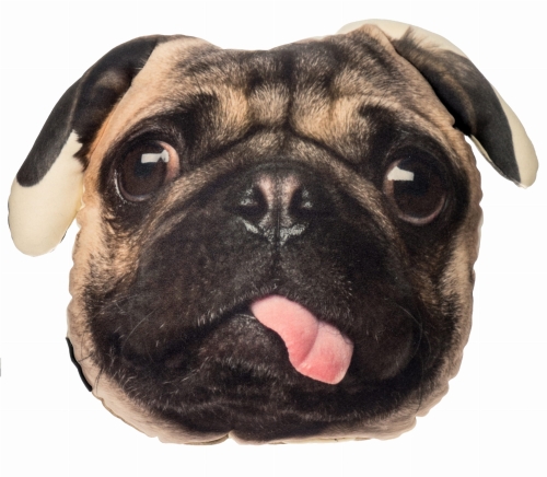 df16bdfa87d8d18de0b7a2f5dc61e2f0