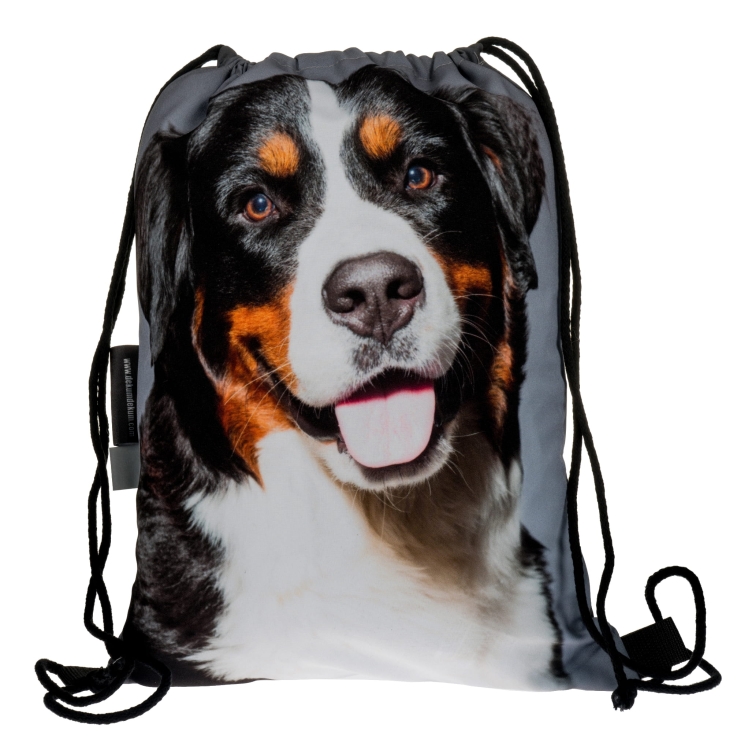 935043623bdb0b4cb7a53bb114a580bb