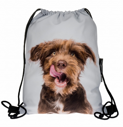 55bea7af2049c09b2a0d5f687f7260b0