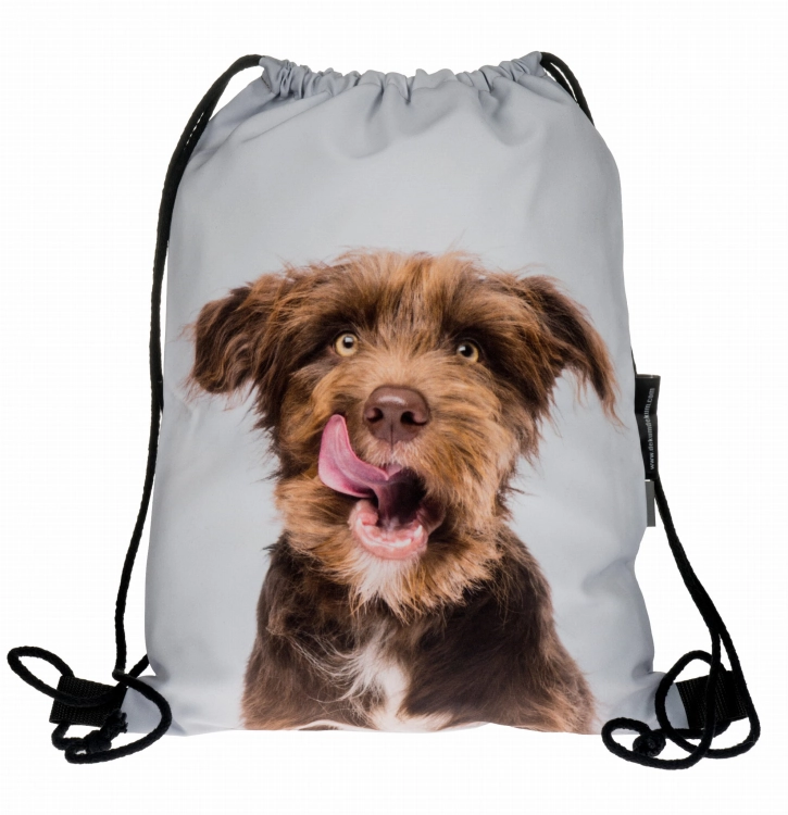 55bea7af2049c09b2a0d5f687f7260b0