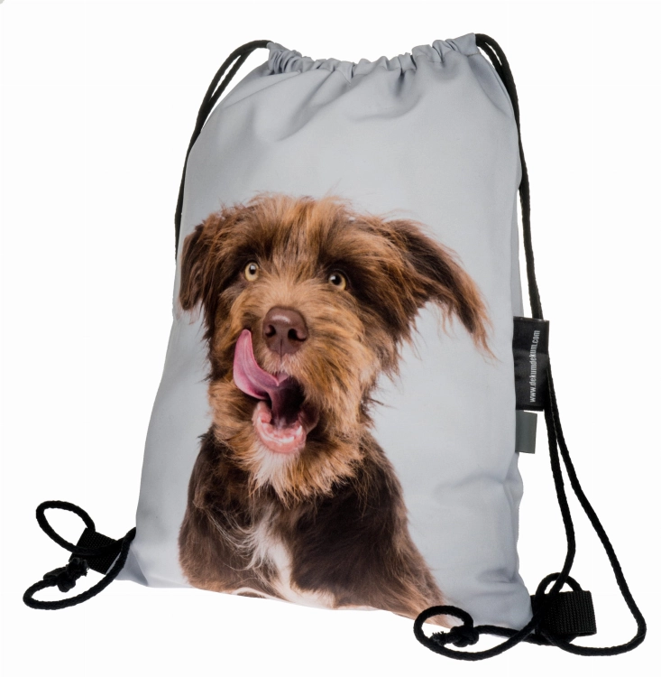 03d96a6698cf8934700671c2a41f8019