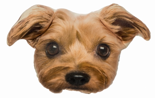 bc5d08a631d805b60f141d4817cc9473