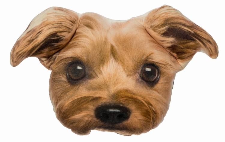 bc5d08a631d805b60f141d4817cc9473