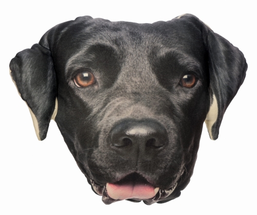 c3a1faed578b70b2c923a80ab45ca32e