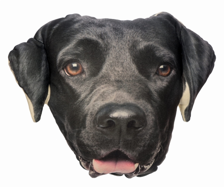 c3a1faed578b70b2c923a80ab45ca32e