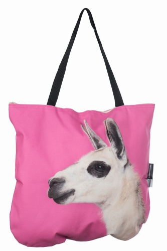 2c66e6b65d9e9f35671ff9228ab9fc8b