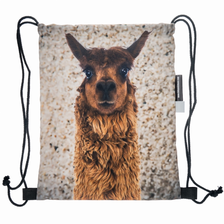 5819d3673b56be09f0a5871f274ecb34