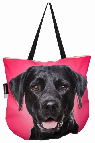 0c4fc09f4461b6f5fafa1ff1930a25a2