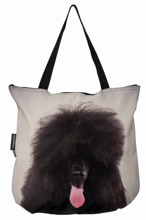 c2a7e7c452234d2fb9ee69eb4cdd6bf5