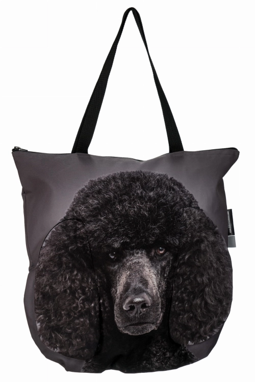 b63b9d28074beae3d8c5cda820867fdf