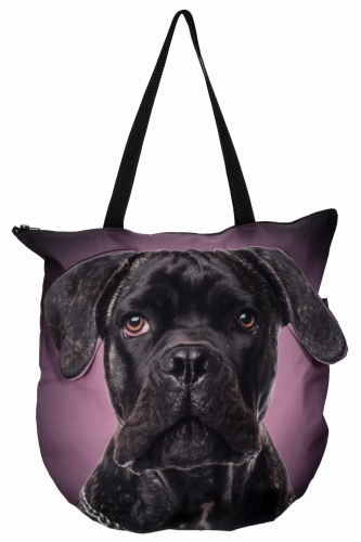 3ad3c77da78a7f8bc001d73048550b80