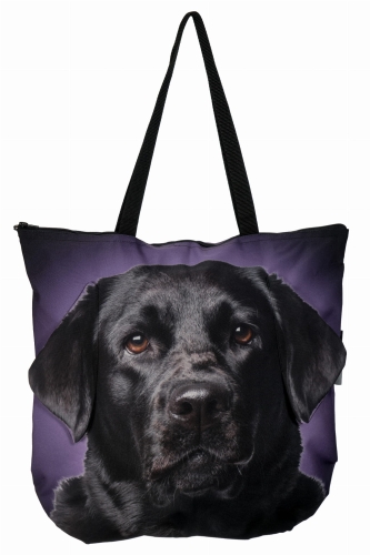 b35ac9094e445d5686b77b4bb432062a