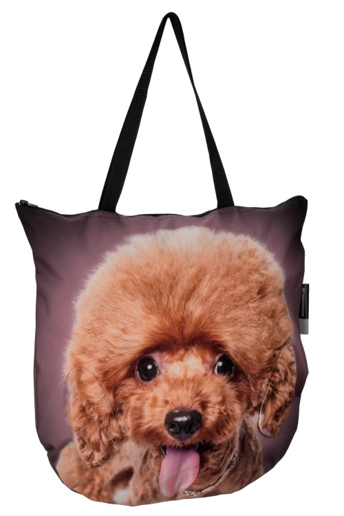 68a390eef2ce28d5726dc52b7e449239