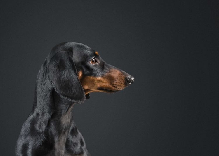 9fe96be1f97326662a7c811bb21f3f58