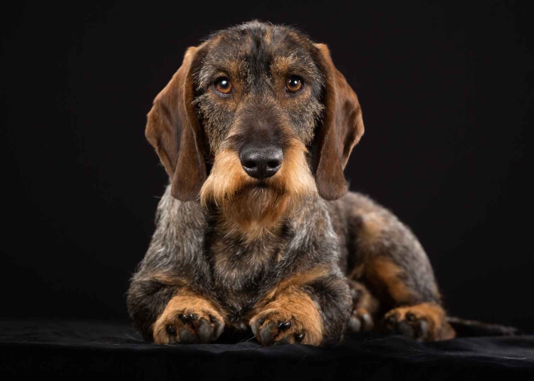 38b2ee20da2cc325227618f2cdfeab5c