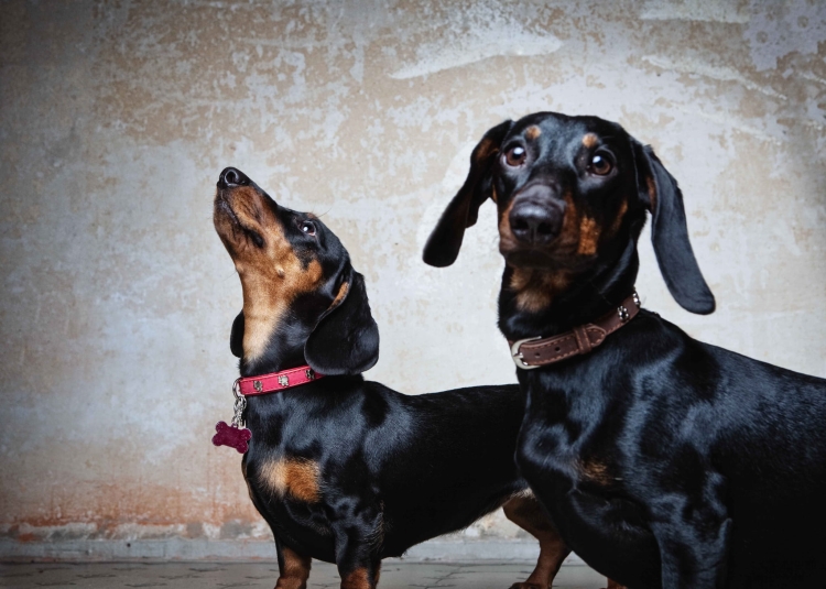 c65339bb596ffaf501849b02209e1f55