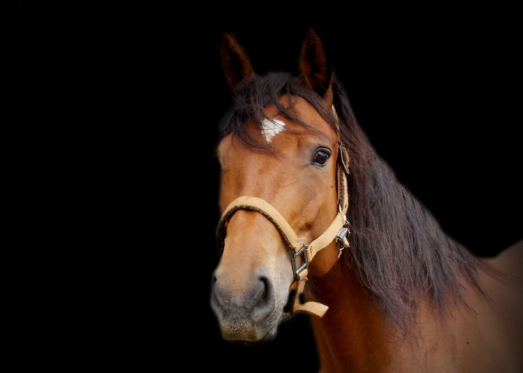 15236afa442ce927e89a9c0e30f92bc7