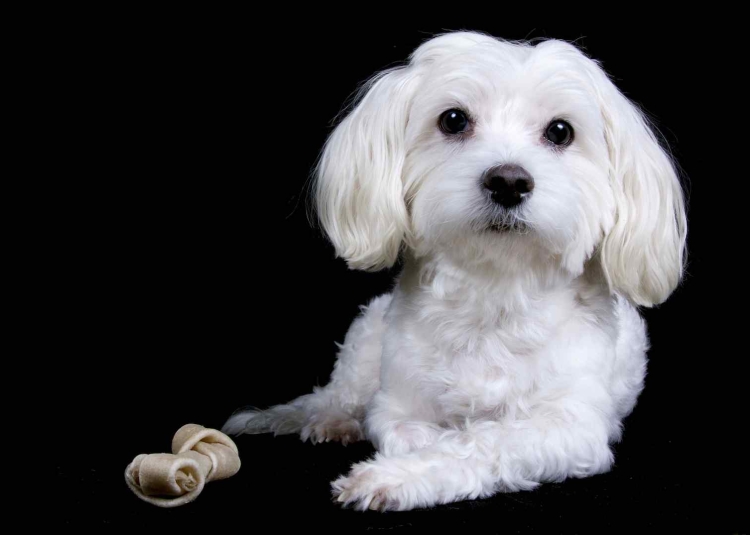 e33582b868382b0eb6ff189025b23bc7