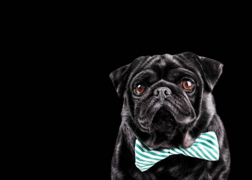 a581e08e860a8b782d3d98e37cce1b01