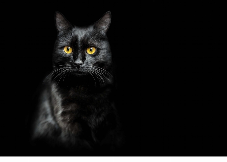 7ce4c65cf1b8a38e5ca61daaecf27ad3