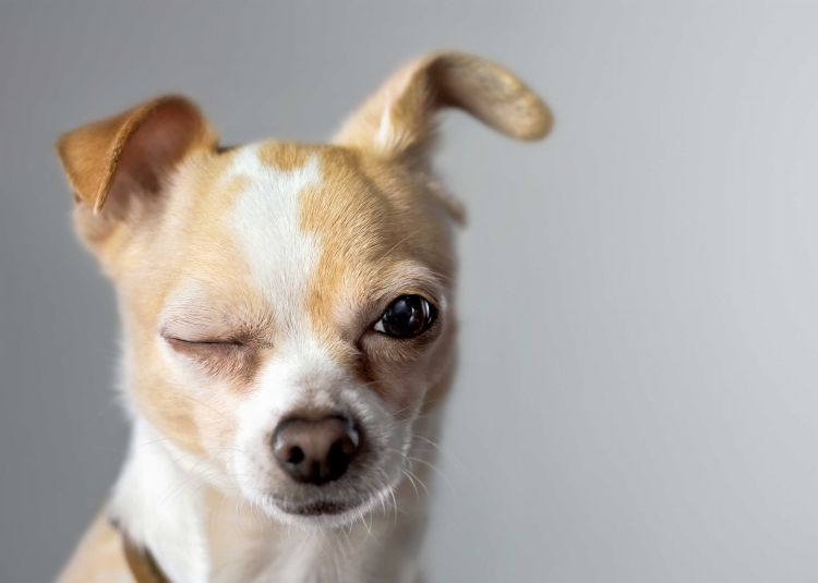 28ad561e19dc01c36ba438b0f2fc272b